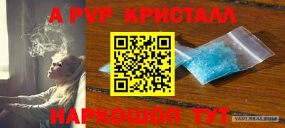 mdpv Новозыбков