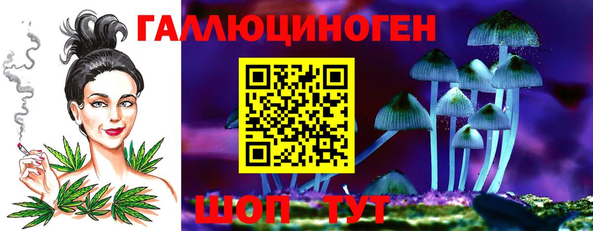цена   Галлюциногенные грибы Magic Shrooms  Вход с VPN  Строитель  Псилоцибиновые грибы Magic Shrooms 