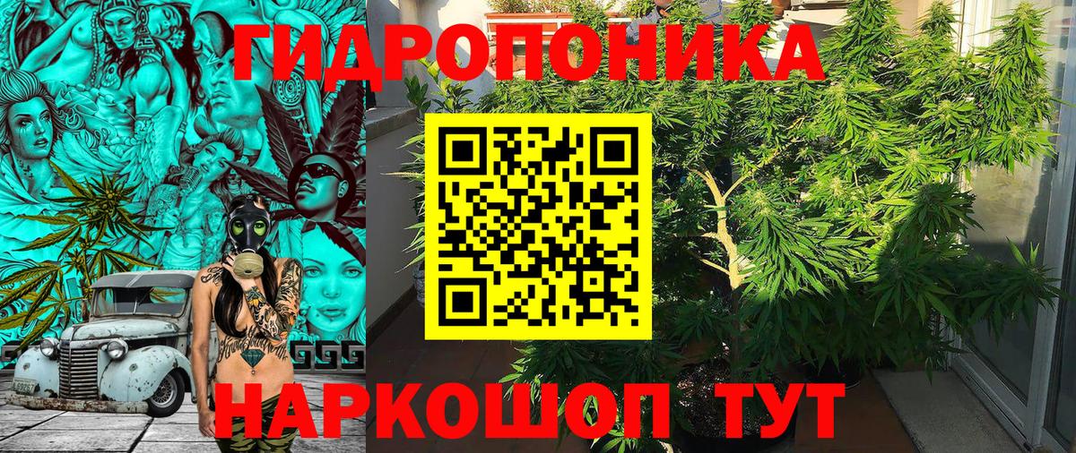 Марихуана Ganja Строитель
