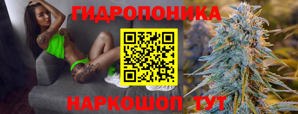 МАРИХУАНА White Widow  Вход с VPN  Бошки марихуана OG Kush  Канабис план  Строитель 